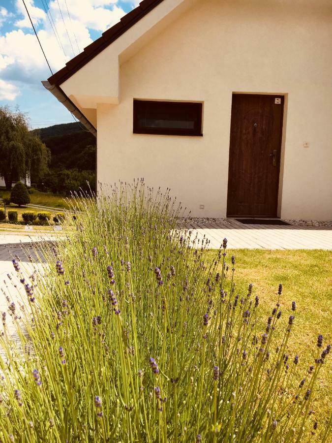 Grand Spa Holiday Home สเคลเน เตปลิตเซ ภายนอก รูปภาพ